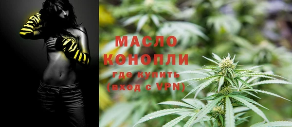 гидра Абаза