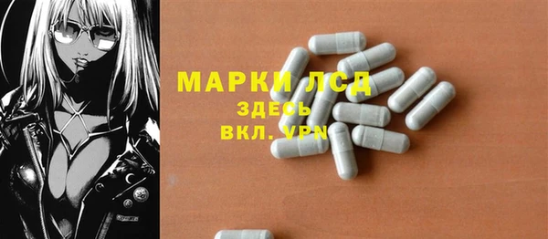 гидра Абаза
