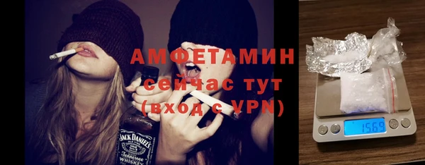 гидра Абаза
