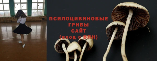 гидра Абаза
