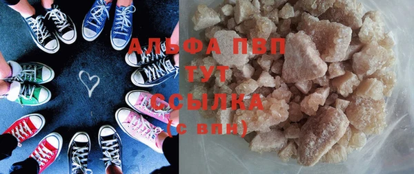гидра Абаза