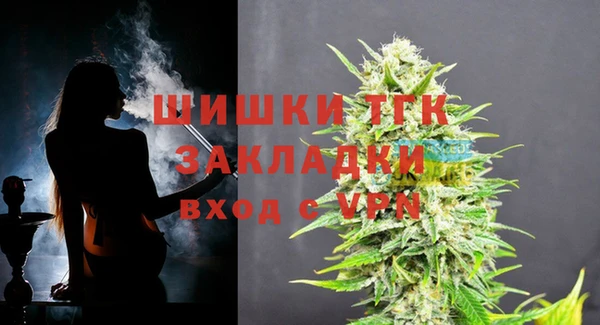 гидра Абаза