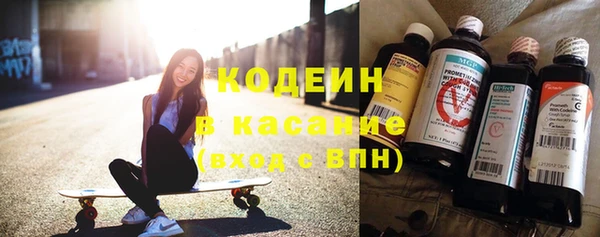 гидра Абаза